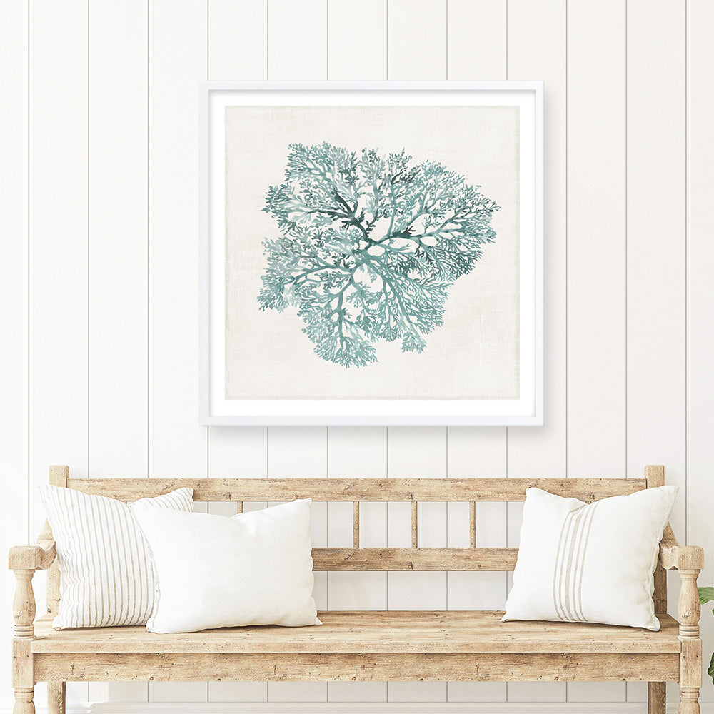 Shop Teal Coral I (Square) Art Print a painted style wall art print from The Print Emporium wall artwork collection - Buy Australian made fine art painting style poster and framed prints for the home and your interior decor room, TPE-PC-WL427-AP