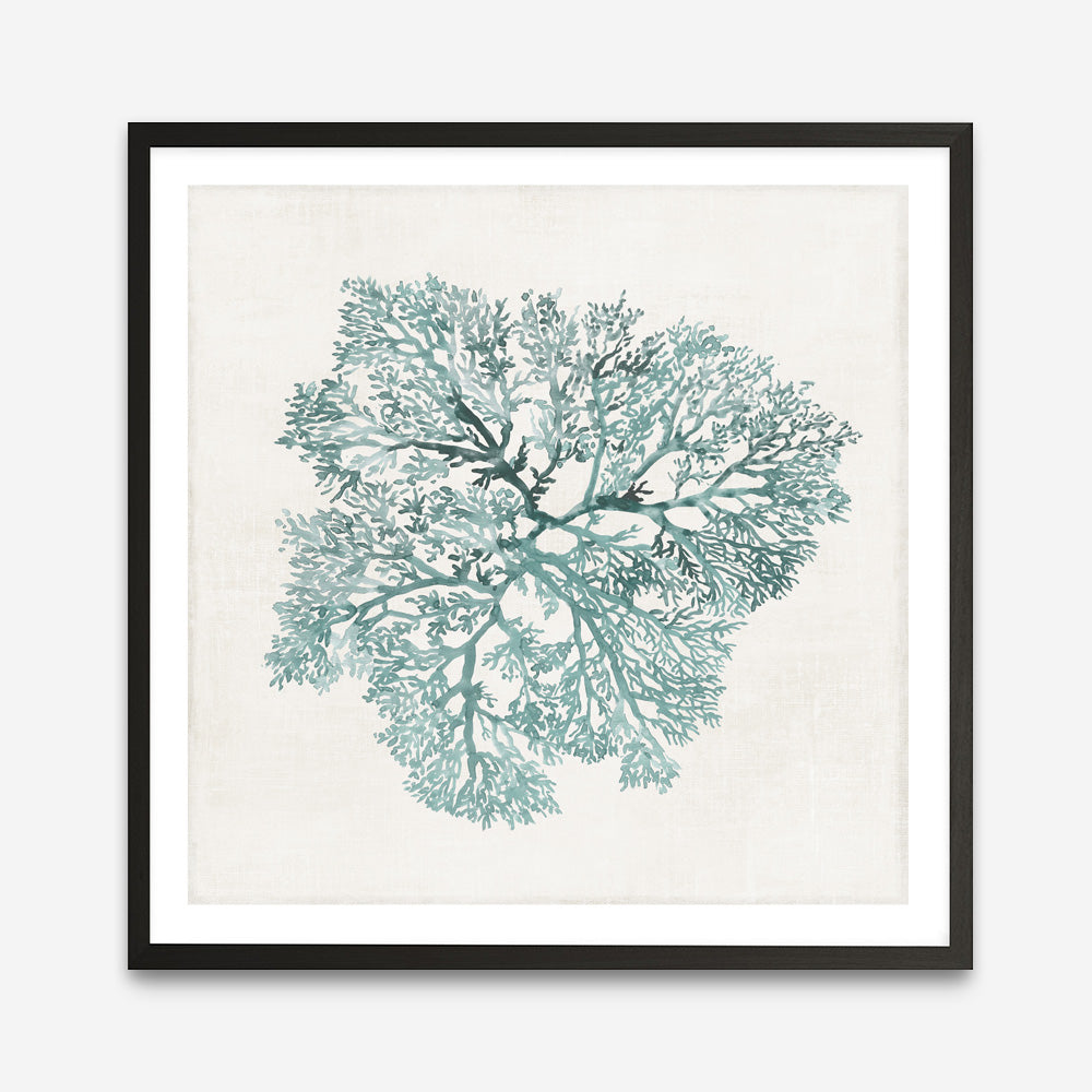 Shop Teal Coral I (Square) Art Print a painted style wall art print from The Print Emporium wall artwork collection - Buy Australian made fine art painting style poster and framed prints for the home and your interior decor room, TPE-PC-WL427-AP