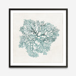 Shop Teal Coral I (Square) Art Print a painted style wall art print from The Print Emporium wall artwork collection - Buy Australian made fine art painting style poster and framed prints for the home and your interior decor room, TPE-PC-WL427-AP