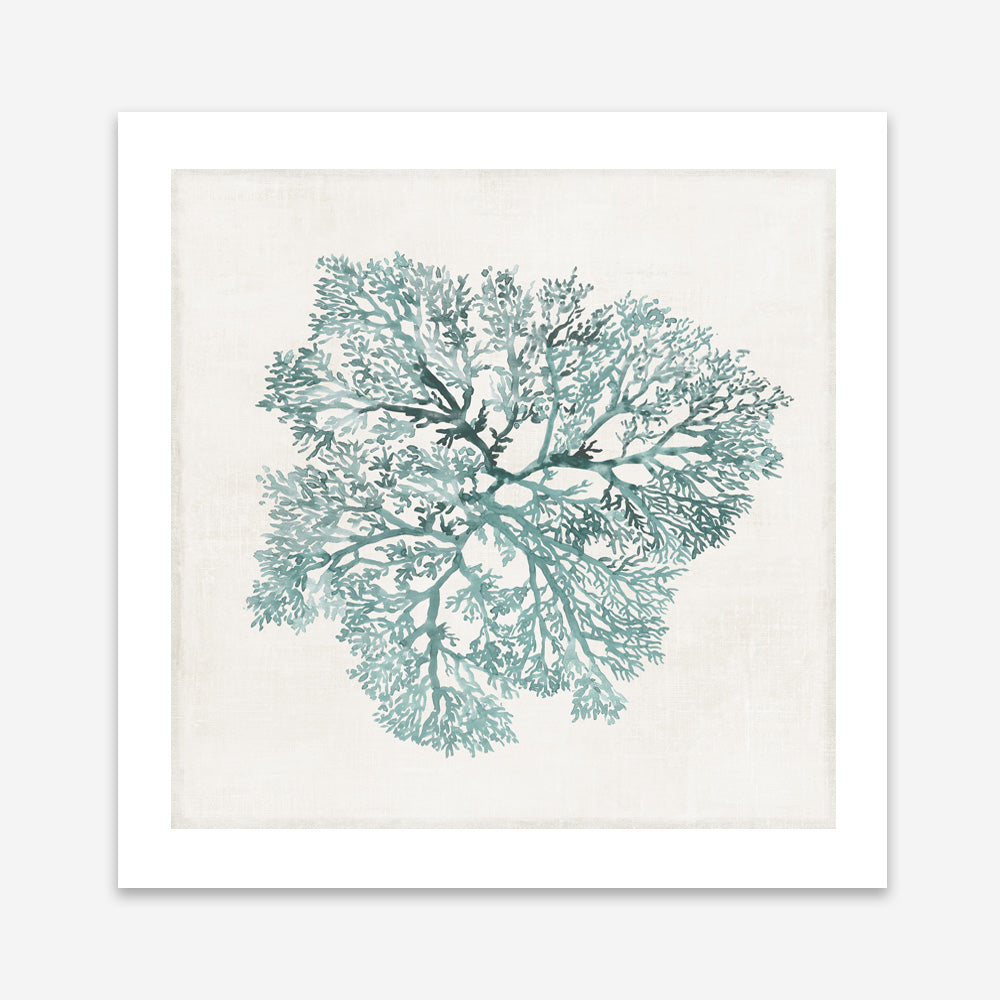 Shop Teal Coral I (Square) Art Print a painted style wall art print from The Print Emporium wall artwork collection - Buy Australian made fine art painting style poster and framed prints for the home and your interior decor room, TPE-PC-WL427-AP