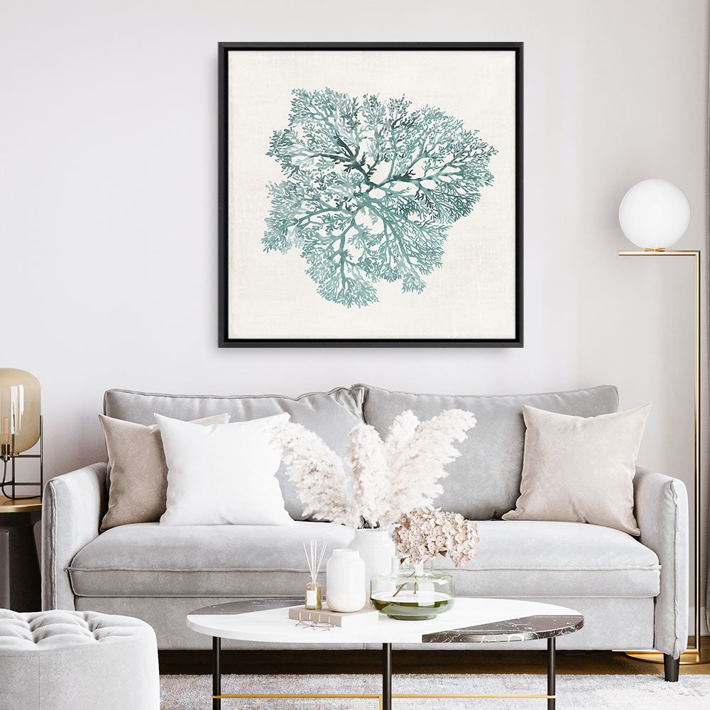 Shop Teal Coral I (Square) Canvas Print a painted style framed canvas wall art print from The Print Emporium artwork collection - Buy Australian made fine art painting style stretched canvas prints for the home and your interior decor space, TPE-PC-WL427-CA-40X40-NF