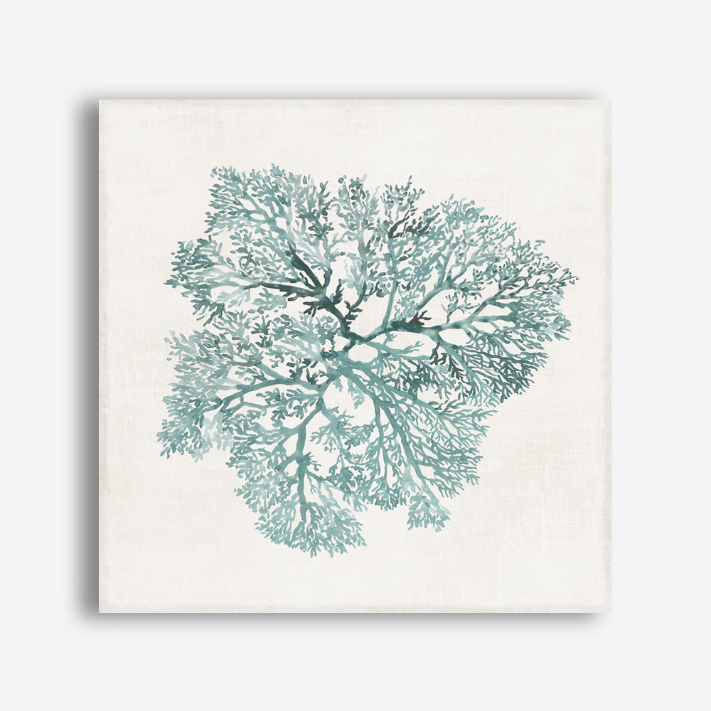 Shop Teal Coral I (Square) Canvas Print a painted style framed canvas wall art print from The Print Emporium artwork collection - Buy Australian made fine art painting style stretched canvas prints for the home and your interior decor space, TPE-PC-WL427-CA-40X40-NF