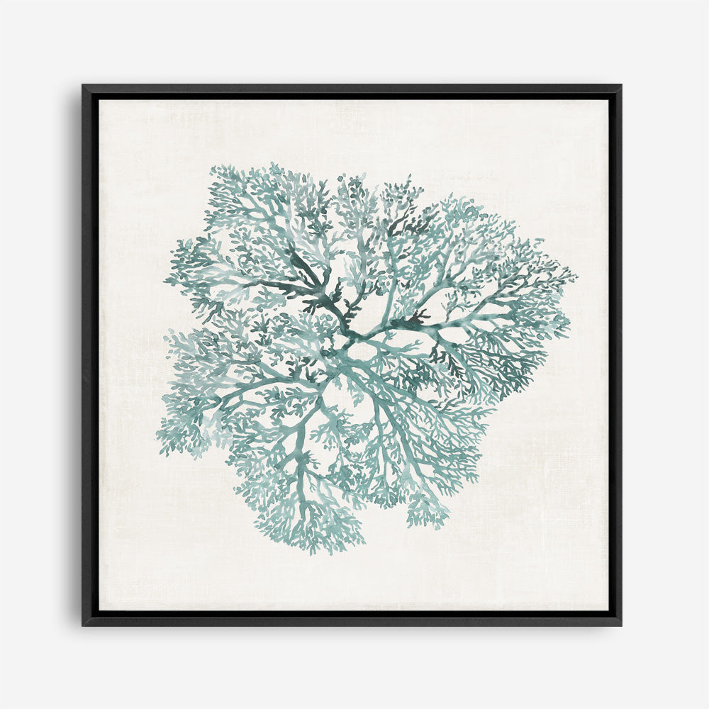 Shop Teal Coral I (Square) Canvas Print a painted style framed canvas wall art print from The Print Emporium artwork collection - Buy Australian made fine art painting style stretched canvas prints for the home and your interior decor space, TPE-PC-WL427-CA-40X40-NF
