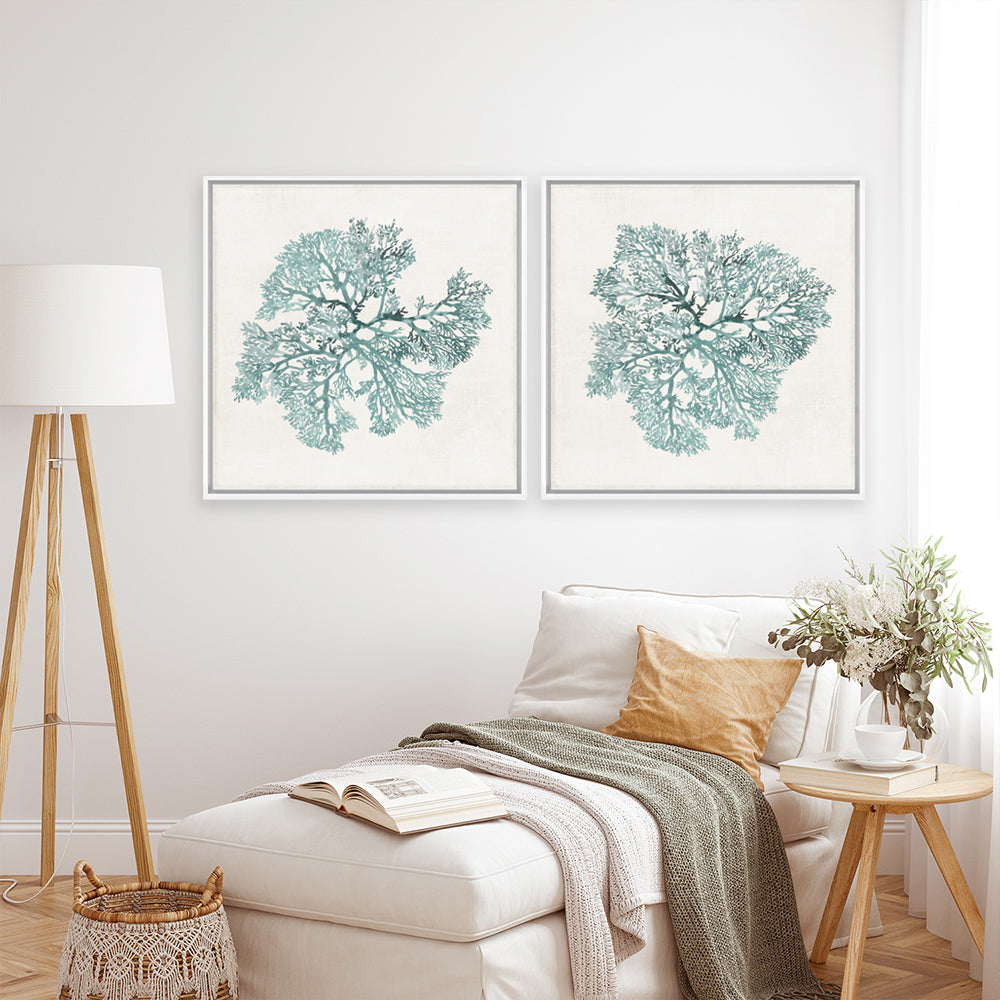 Shop Teal Coral I (Square) Canvas Print a painted style framed canvas wall art print from The Print Emporium artwork collection - Buy Australian made fine art painting style stretched canvas prints for the home and your interior decor space, TPE-PC-WL427-CA-40X40-NF