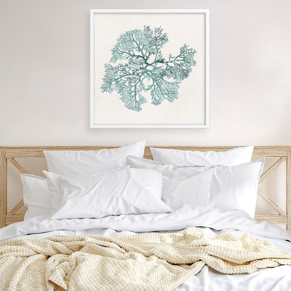 Shop Teal Coral II (Square) Art Print a painted style wall art print from The Print Emporium wall artwork collection - Buy Australian made fine art painting style poster and framed prints for the home and your interior decor room, TPE-PC-WL428-AP