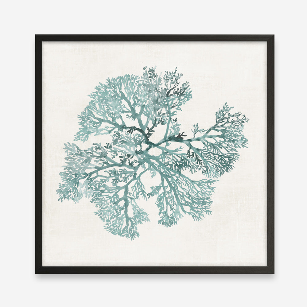 Shop Teal Coral II (Square) Art Print a painted style wall art print from The Print Emporium wall artwork collection - Buy Australian made fine art painting style poster and framed prints for the home and your interior decor room, TPE-PC-WL428-AP