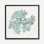 Shop Teal Coral II (Square) Art Print a painted style wall art print from The Print Emporium wall artwork collection - Buy Australian made fine art painting style poster and framed prints for the home and your interior decor room, TPE-PC-WL428-AP