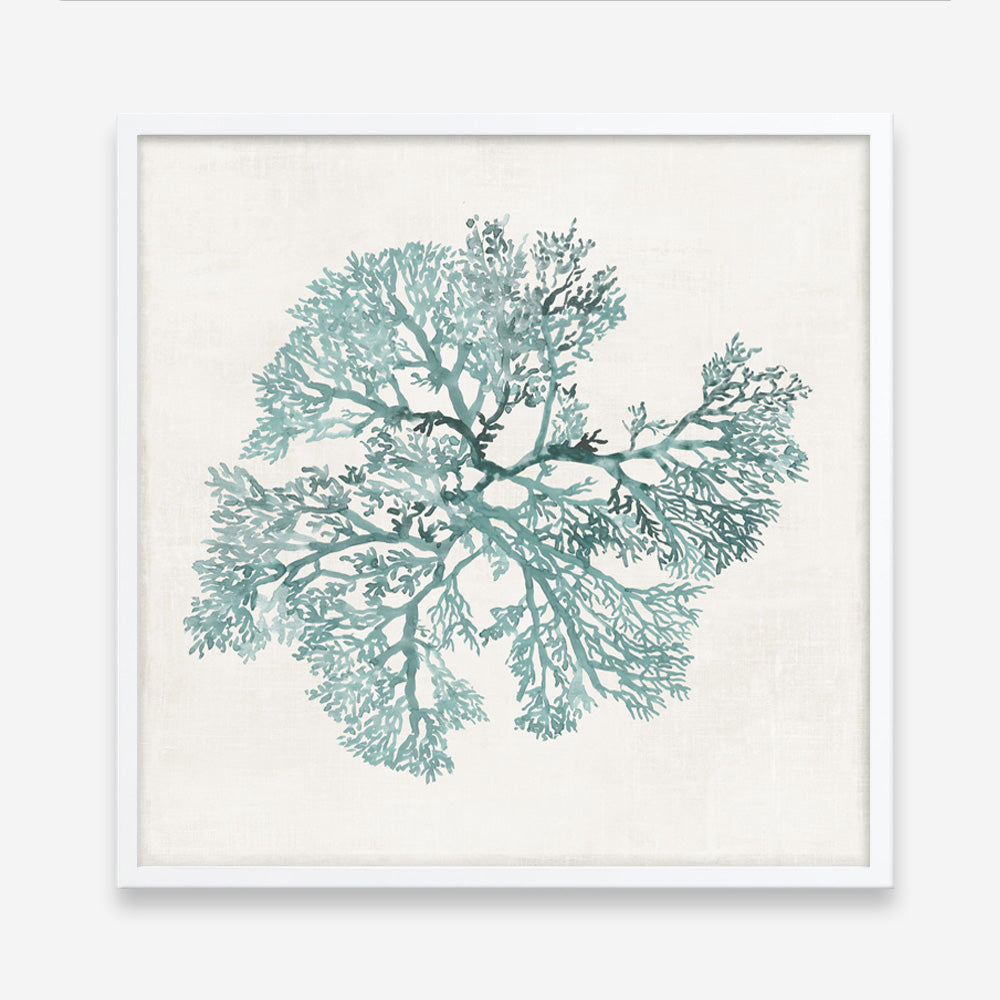 Shop Teal Coral II (Square) Art Print a painted style wall art print from The Print Emporium wall artwork collection - Buy Australian made fine art painting style poster and framed prints for the home and your interior decor room, TPE-PC-WL428-AP