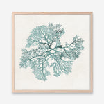 Shop Teal Coral II (Square) Art Print a painted style wall art print from The Print Emporium wall artwork collection - Buy Australian made fine art painting style poster and framed prints for the home and your interior decor room, TPE-PC-WL428-AP
