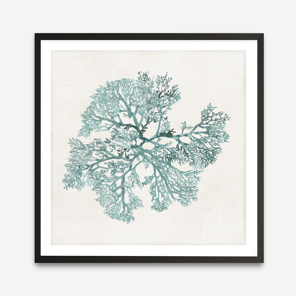 Shop Teal Coral II (Square) Art Print a painted style wall art print from The Print Emporium wall artwork collection - Buy Australian made fine art painting style poster and framed prints for the home and your interior decor room, TPE-PC-WL428-AP