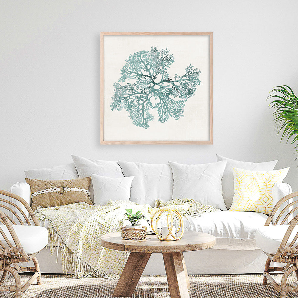 Shop Teal Coral II (Square) Art Print a painted style wall art print from The Print Emporium wall artwork collection - Buy Australian made fine art painting style poster and framed prints for the home and your interior decor room, TPE-PC-WL428-AP