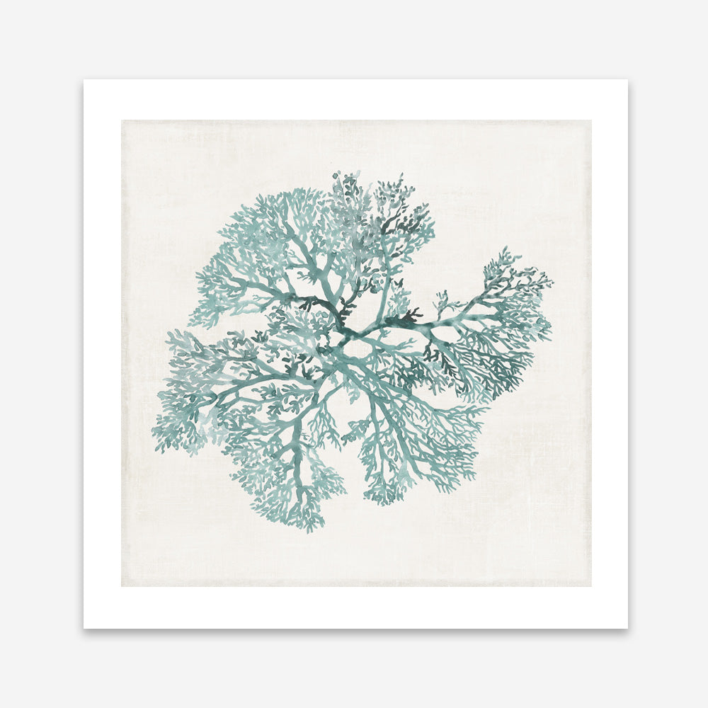 Shop Teal Coral II (Square) Art Print a painted style wall art print from The Print Emporium wall artwork collection - Buy Australian made fine art painting style poster and framed prints for the home and your interior decor room, TPE-PC-WL428-AP