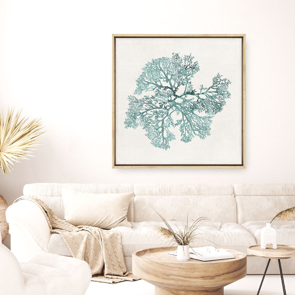 Shop Teal Coral II (Square) Canvas Print a painted style framed canvas wall art print from The Print Emporium artwork collection - Buy Australian made fine art painting style stretched canvas prints for the home and your interior decor space, TPE-PC-WL428-CA-40X40-NF