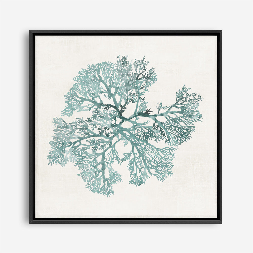 Shop Teal Coral II (Square) Canvas Print a painted style framed canvas wall art print from The Print Emporium artwork collection - Buy Australian made fine art painting style stretched canvas prints for the home and your interior decor space, TPE-PC-WL428-CA-40X40-NF