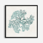 Shop Teal Coral II (Square) Canvas Print a painted style framed canvas wall art print from The Print Emporium artwork collection - Buy Australian made fine art painting style stretched canvas prints for the home and your interior decor space, TPE-PC-WL428-CA-40X40-NF