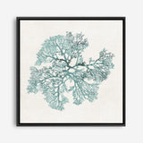 Shop Teal Coral II (Square) Canvas Print a painted style framed canvas wall art print from The Print Emporium artwork collection - Buy Australian made fine art painting style stretched canvas prints for the home and your interior decor space, TPE-PC-WL428-CA-40X40-NF