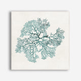 Shop Teal Coral II (Square) Canvas Print a painted style framed canvas wall art print from The Print Emporium artwork collection - Buy Australian made fine art painting style stretched canvas prints for the home and your interior decor space, TPE-PC-WL428-CA-40X40-NF