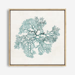 Shop Teal Coral II (Square) Canvas Print a painted style framed canvas wall art print from The Print Emporium artwork collection - Buy Australian made fine art painting style stretched canvas prints for the home and your interior decor space, TPE-PC-WL428-CA-40X40-NF