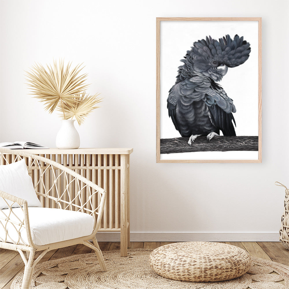 Shop Theo The Black Cockatoo Art Print a painted bird themed wall art print from The Print Emporium wall artwork collection - Buy Australian made fine art painting style poster and framed prints for the home and your interior decor room, TPE-340-AP