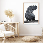 Shop Theo The Black Cockatoo Art Print a painted bird themed wall art print from The Print Emporium wall artwork collection - Buy Australian made fine art painting style poster and framed prints for the home and your interior decor room, TPE-340-AP