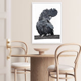 Shop Theo The Black Cockatoo Art Print a painted bird themed wall art print from The Print Emporium wall artwork collection - Buy Australian made fine art painting style poster and framed prints for the home and your interior decor room, TPE-340-AP