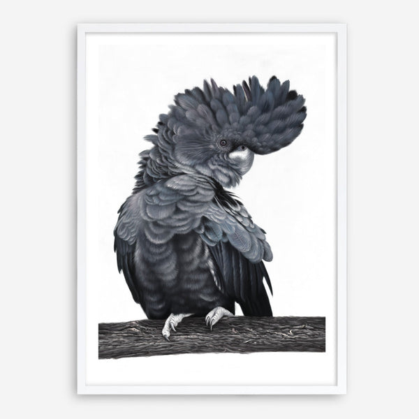 Shop Theo The Black Cockatoo Art Print a painted bird themed wall art print from The Print Emporium wall artwork collection - Buy Australian made fine art painting style poster and framed prints for the home and your interior decor room, TPE-340-AP