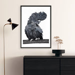 Shop Theo The Black Cockatoo Art Print a painted bird themed wall art print from The Print Emporium wall artwork collection - Buy Australian made fine art painting style poster and framed prints for the home and your interior decor room, TPE-340-AP