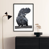 Shop Theo The Black Cockatoo Art Print a painted bird themed wall art print from The Print Emporium wall artwork collection - Buy Australian made fine art painting style poster and framed prints for the home and your interior decor room, TPE-340-AP