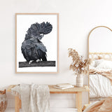Shop Theo The Black Cockatoo Art Print a painted bird themed wall art print from The Print Emporium wall artwork collection - Buy Australian made fine art painting style poster and framed prints for the home and your interior decor room, TPE-340-AP