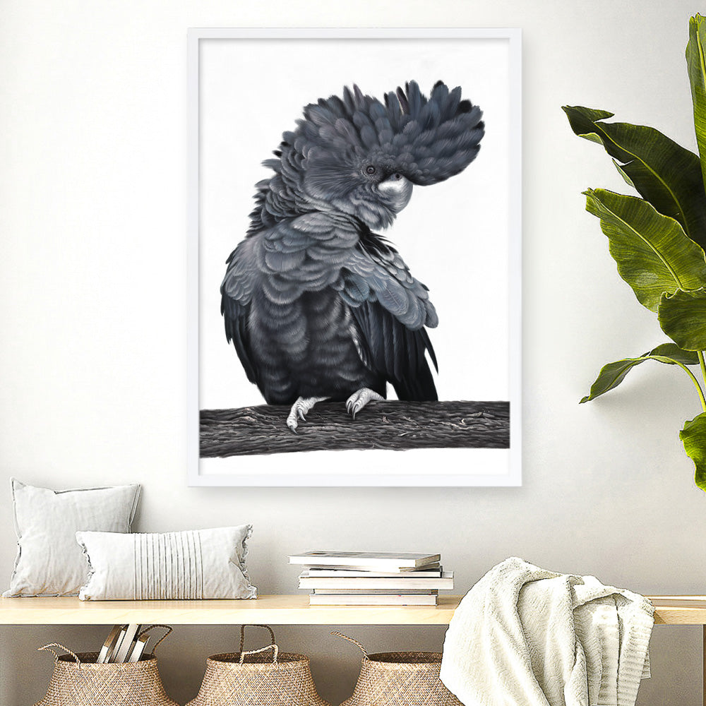 Shop Theo The Black Cockatoo Art Print a painted bird themed wall art print from The Print Emporium wall artwork collection - Buy Australian made fine art painting style poster and framed prints for the home and your interior decor room, TPE-340-AP