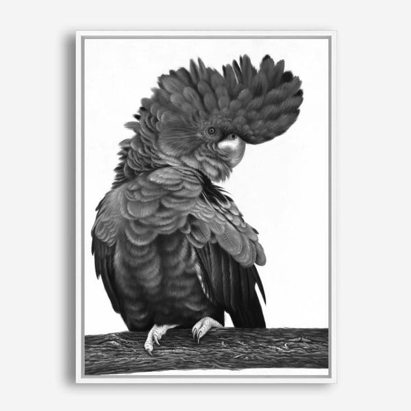 Shop Theo The Black Cockatoo (B&W) Canvas Print a painted bird themed framed canvas wall art print from The Print Emporium artwork collection - Buy Australian made fine art painting style stretched canvas prints for the home and your interior decor space, TPE-359-CA-35X46-NF