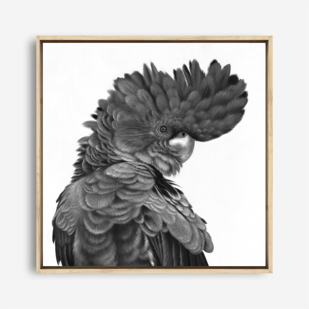 Shop Theo The Black Cockatoo (B&W) (Square) Canvas Print a painted bird themed framed canvas wall art print from The Print Emporium artwork collection - Buy Australian made fine art painting style stretched canvas prints for the home and your interior decor space, TPE-356-CA-40X40-NF