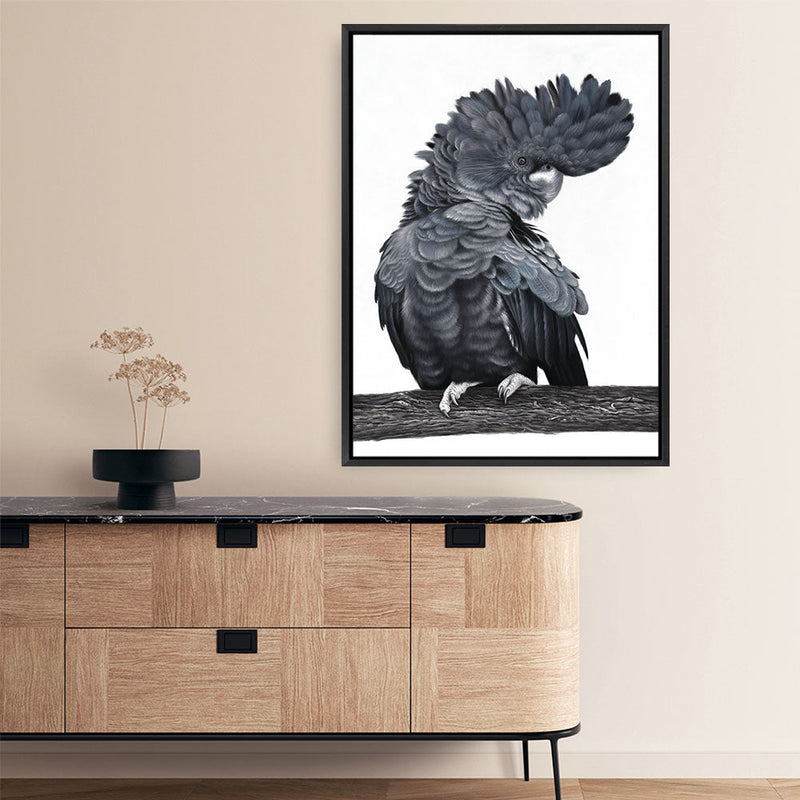 Shop Theo The Black Cockatoo Canvas Print a painted bird themed framed canvas wall art print from The Print Emporium artwork collection - Buy Australian made fine art painting style stretched canvas prints for the home and your interior decor space, TPE-340-CA-35X46-NF