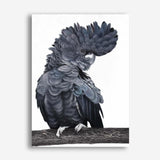 Shop Theo The Black Cockatoo Canvas Print a painted bird themed framed canvas wall art print from The Print Emporium artwork collection - Buy Australian made fine art painting style stretched canvas prints for the home and your interior decor space, TPE-340-CA-35X46-NF