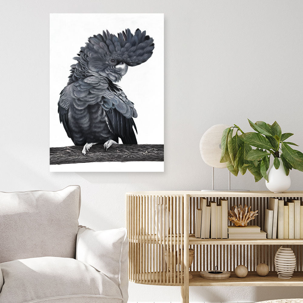 Shop Theo The Black Cockatoo Canvas Print a painted bird themed framed canvas wall art print from The Print Emporium artwork collection - Buy Australian made fine art painting style stretched canvas prints for the home and your interior decor space, TPE-340-CA-35X46-NF