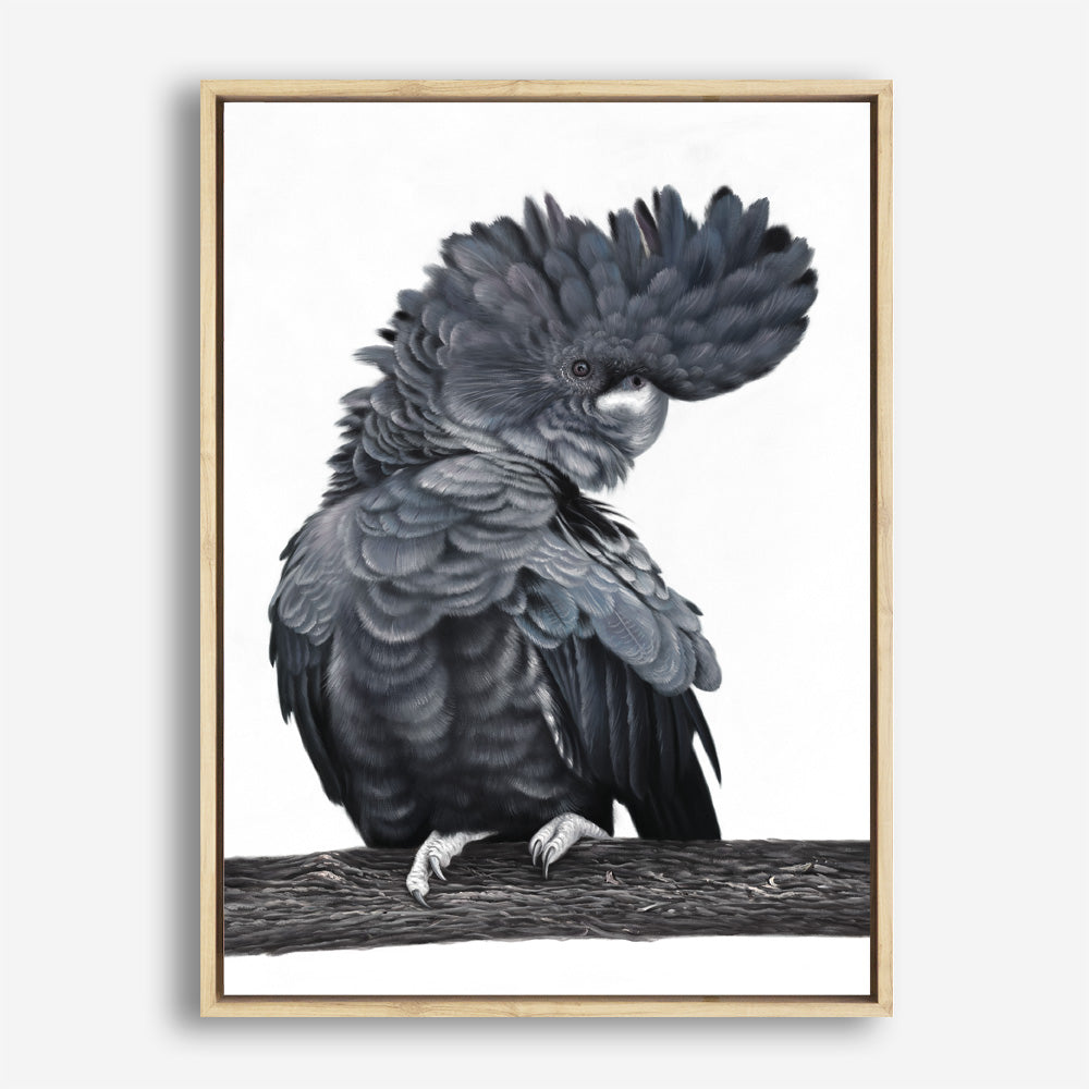 Shop Theo The Black Cockatoo Canvas Print a painted bird themed framed canvas wall art print from The Print Emporium artwork collection - Buy Australian made fine art painting style stretched canvas prints for the home and your interior decor space, TPE-340-CA-35X46-NF