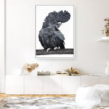 Shop Theo The Black Cockatoo Canvas Print a painted bird themed framed canvas wall art print from The Print Emporium artwork collection - Buy Australian made fine art painting style stretched canvas prints for the home and your interior decor space, TPE-340-CA-35X46-NF
