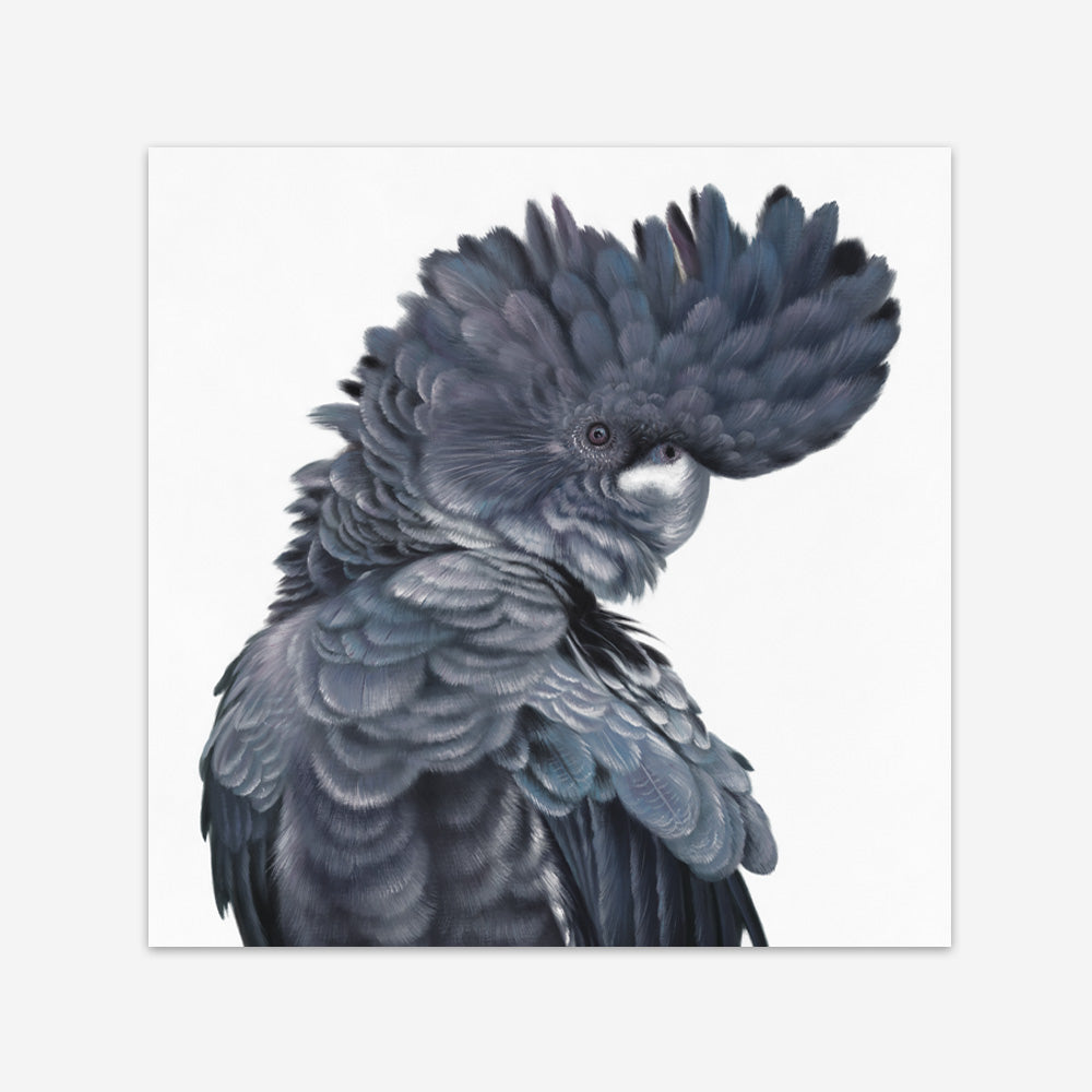 Shop Theo The Black Cockatoo (Square) Art Print a painted bird themed wall art print from The Print Emporium wall artwork collection - Buy Australian made fine art painting style poster and framed prints for the home and your interior decor room, TPE-336-AP