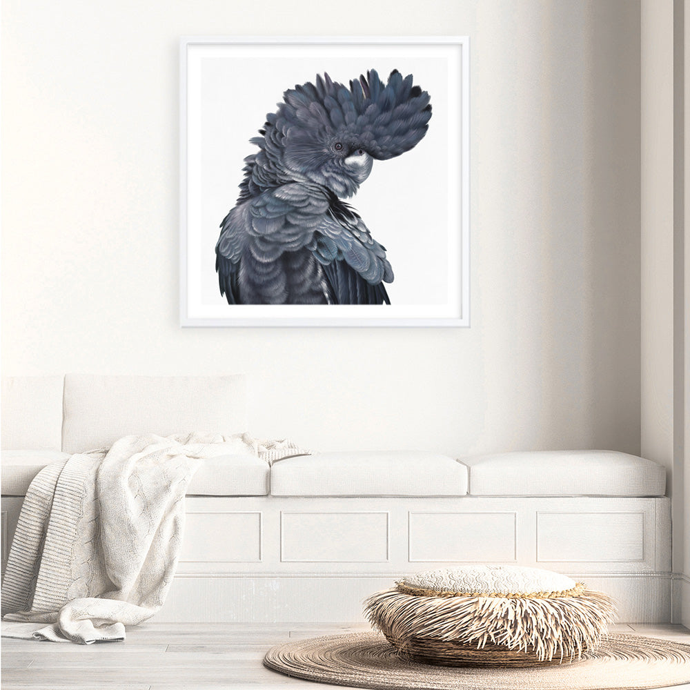 Shop Theo The Black Cockatoo (Square) Art Print a painted bird themed wall art print from The Print Emporium wall artwork collection - Buy Australian made fine art painting style poster and framed prints for the home and your interior decor room, TPE-336-AP