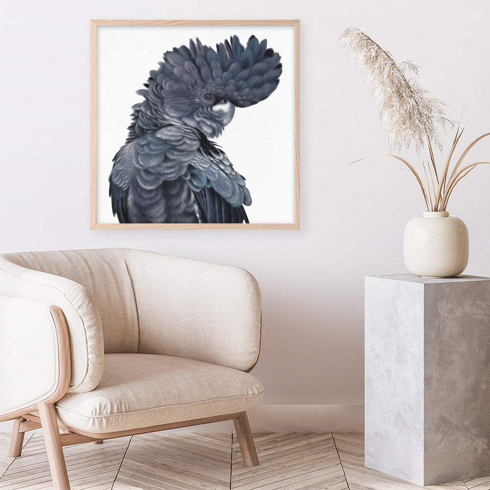 Shop Theo The Black Cockatoo (Square) Art Print a painted bird themed wall art print from The Print Emporium wall artwork collection - Buy Australian made fine art painting style poster and framed prints for the home and your interior decor room, TPE-336-AP