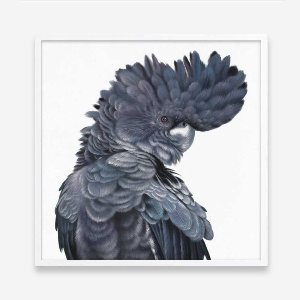 Shop Theo The Black Cockatoo (Square) Art Print a painted bird themed wall art print from The Print Emporium wall artwork collection - Buy Australian made fine art painting style poster and framed prints for the home and your interior decor room, TPE-336-AP