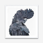 Shop Theo The Black Cockatoo (Square) Art Print a painted bird themed wall art print from The Print Emporium wall artwork collection - Buy Australian made fine art painting style poster and framed prints for the home and your interior decor room, TPE-336-AP