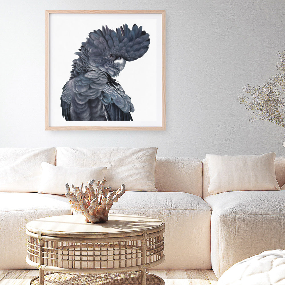 Shop Theo The Black Cockatoo (Square) Art Print a painted bird themed wall art print from The Print Emporium wall artwork collection - Buy Australian made fine art painting style poster and framed prints for the home and your interior decor room, TPE-336-AP