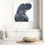 Shop Theo The Black Cockatoo (Square) Canvas Print a painted bird themed framed canvas wall art print from The Print Emporium artwork collection - Buy Australian made fine art painting style stretched canvas prints for the home and your interior decor space, TPE-336-CA-40X40-NF