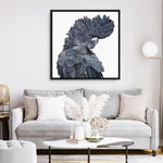 Shop Theo The Black Cockatoo (Square) Canvas Print a painted bird themed framed canvas wall art print from The Print Emporium artwork collection - Buy Australian made fine art painting style stretched canvas prints for the home and your interior decor space, TPE-336-CA-40X40-NF