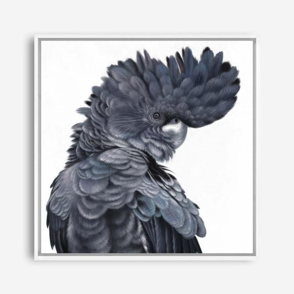 Shop Theo The Black Cockatoo (Square) Canvas Print a painted bird themed framed canvas wall art print from The Print Emporium artwork collection - Buy Australian made fine art painting style stretched canvas prints for the home and your interior decor space, TPE-336-CA-40X40-NF