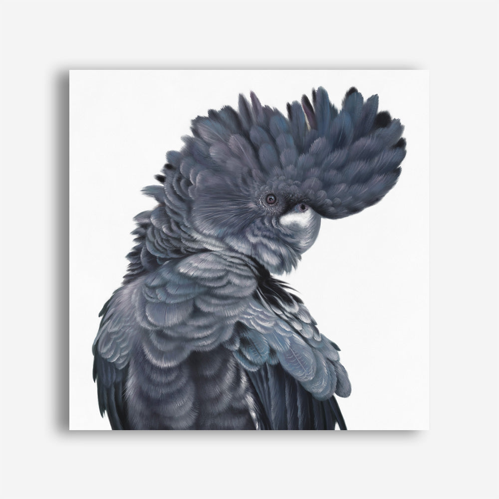 Shop Theo The Black Cockatoo (Square) Canvas Print a painted bird themed framed canvas wall art print from The Print Emporium artwork collection - Buy Australian made fine art painting style stretched canvas prints for the home and your interior decor space, TPE-336-CA-40X40-NF