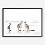 Shop Three Kangaroos Photo Art Print a coastal themed photography wall art print from The Print Emporium wall artwork collection - Buy Australian made fine art poster and framed prints for the home and your interior decor, TPE-907-AP