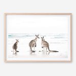 Shop Three Kangaroos Photo Art Print a coastal themed photography wall art print from The Print Emporium wall artwork collection - Buy Australian made fine art poster and framed prints for the home and your interior decor, TPE-907-AP