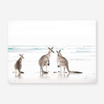 Shop Three Kangaroos Photo Art Print a coastal themed photography wall art print from The Print Emporium wall artwork collection - Buy Australian made fine art poster and framed prints for the home and your interior decor, TPE-907-AP